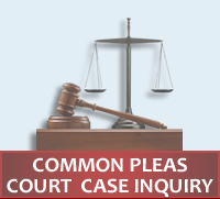 Common Pleas Court Case Inquiry Hover Icon